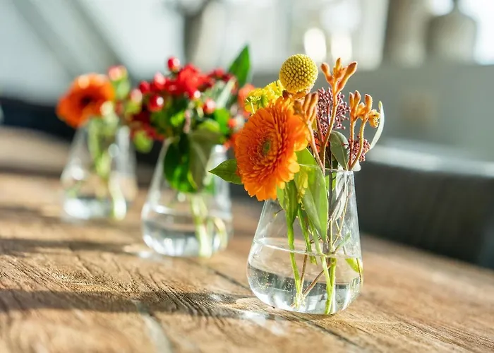 In With Hot Tub * Silvolde